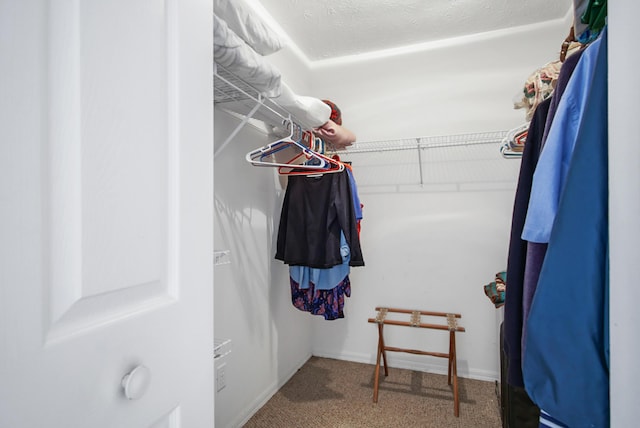 walk in closet featuring carpet flooring