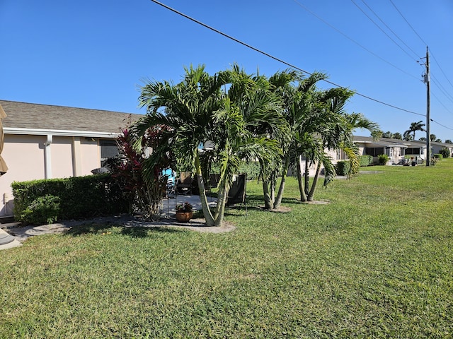 view of yard featuring a patio area