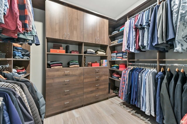walk in closet featuring light wood-style flooring