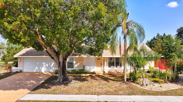 ranch-style home featuring stucco siding, concrete driveway, and an attached garage