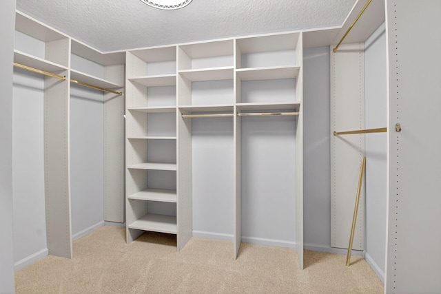 9025 Long Lake Palm Dr, Boca Raton, FL 33496 - walk in closet with carpet floors