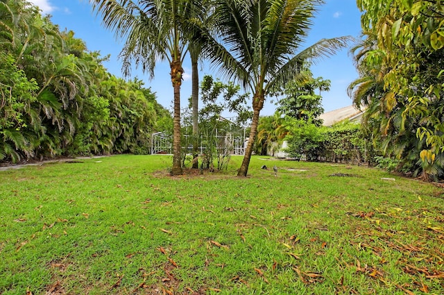 9025 Long Lake Palm Dr, Boca Raton, FL 33496 - view of green lawn