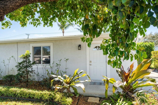 property entrance featuring stucco siding