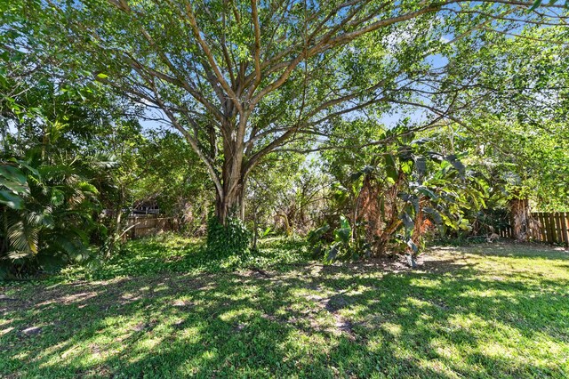 5116 Palm Way, Lake Worth, FL 33463 - view of yard