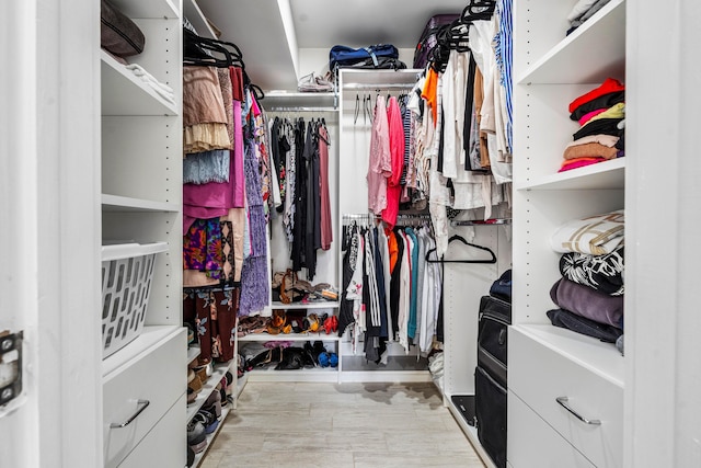 view of walk in closet