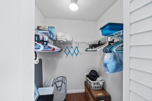 spacious closet with wood finished floors