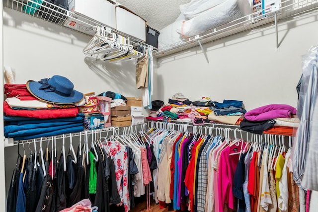 3251 Perimeter Dr, Greenacres, FL 33467 - view of spacious closet