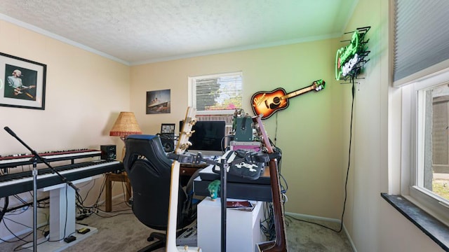 4142 NE Robin Ct, Jensen Beach, FL 34957 - carpeted home office with ornamental molding and a textured ceiling