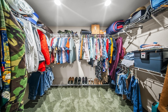 walk in closet featuring carpet