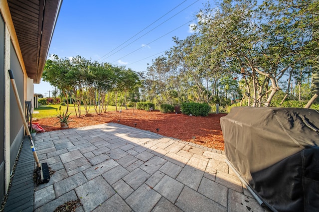 view of patio featuring area for grilling