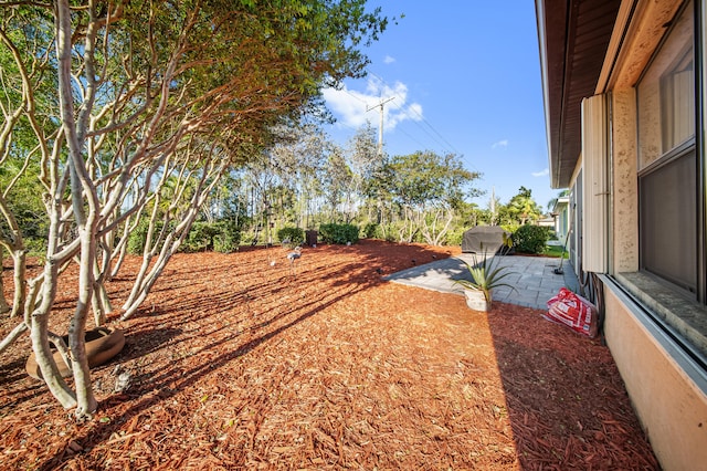 view of yard featuring a patio