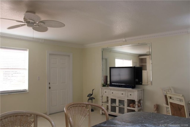 bedroom featuring ceiling fan and crown molding