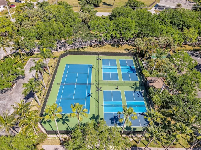 bird's eye view