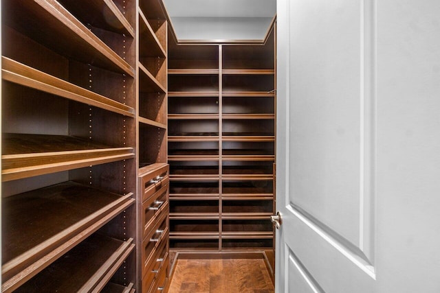 spacious closet featuring wood finished floors