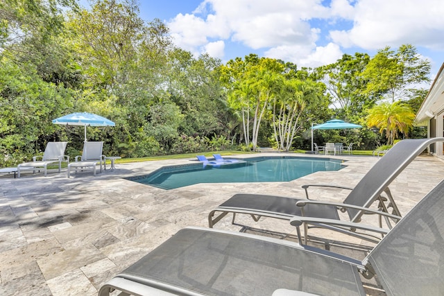 17888 Fieldbrook Cir W, Boca Raton, FL 33496 - swimming pool featuring a patio