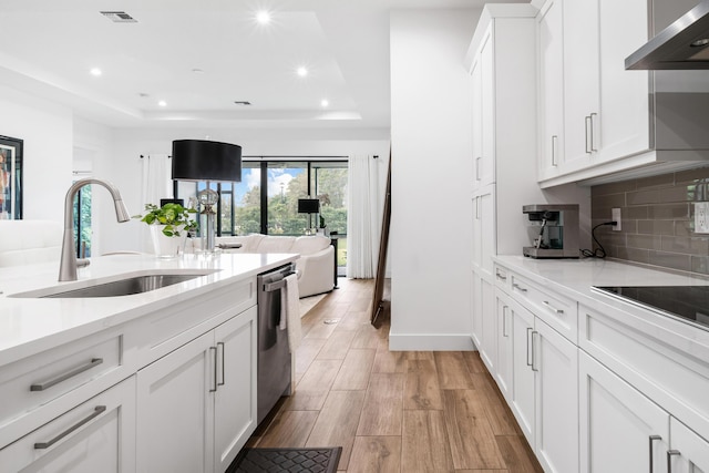 kitchen with visible vents, a sink, a tray ceiling, stainless steel dishwasher, and ventilation hood