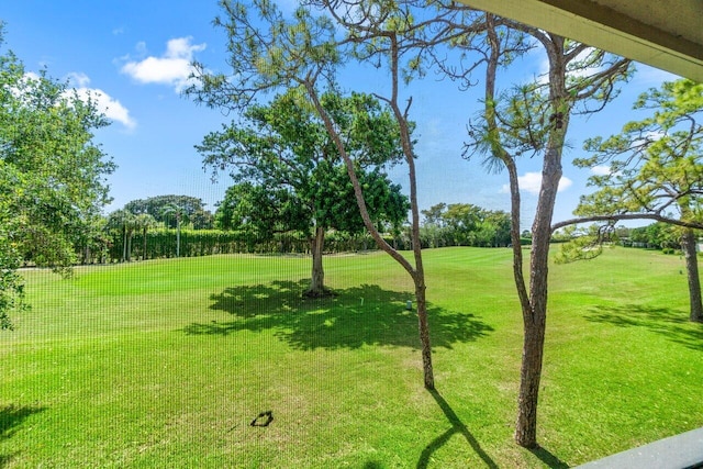 9 Stratford Dr Unit D, Boynton Beach, FL 33436 - view of yard