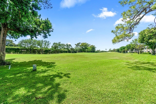 9 Stratford Dr Unit D, Boynton Beach, FL 33436 - view of yard