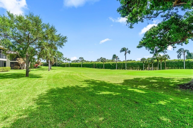 9 Stratford Dr Unit D, Boynton Beach, FL 33436 - view of yard