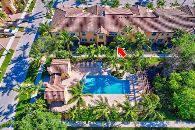 bird's eye view