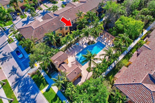 drone / aerial view