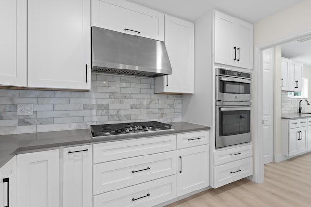 280 Sulky Way, Wellington, FL 33414 - kitchen featuring light wood finished floors, backsplash, under cabinet range hood, stainless steel appliances, and white cabinetry