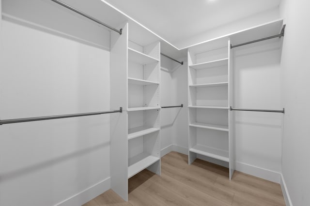 280 Sulky Way, Wellington, FL 33414 - walk in closet featuring light wood-style flooring