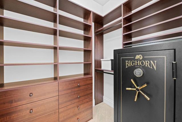 2885 Banyan Boulevard Cir NW, Boca Raton, FL 33431 - spacious closet featuring light carpet