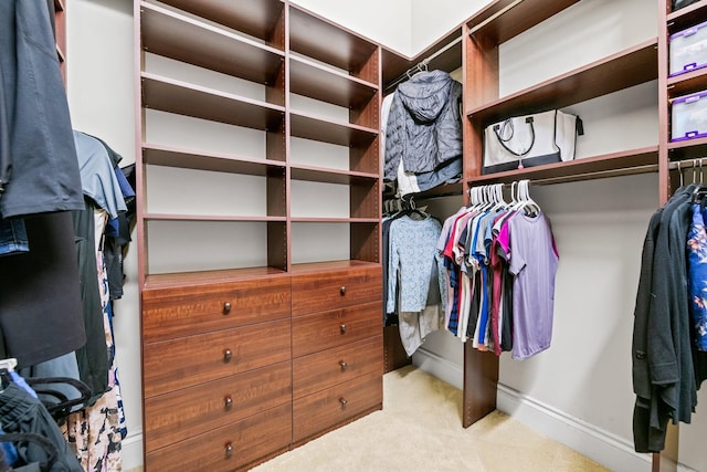 2885 Banyan Boulevard Cir NW, Boca Raton, FL 33431 - spacious closet with carpet flooring
