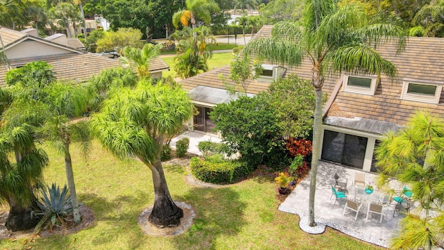 aerial view