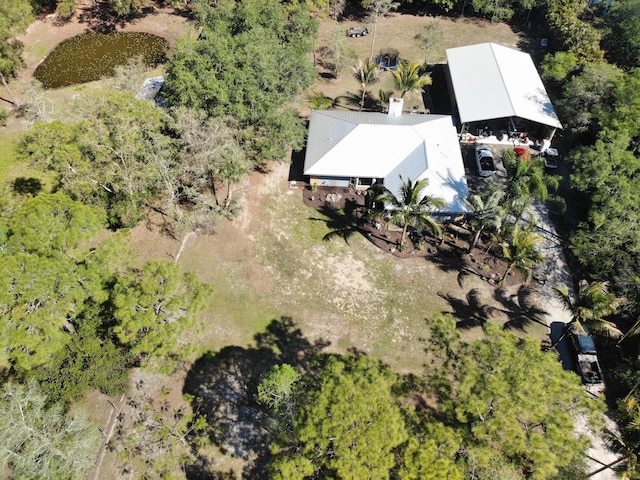 drone / aerial view