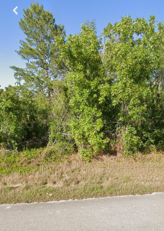 110 Devoe Ave, Lake Placid FL, 33852 land for sale