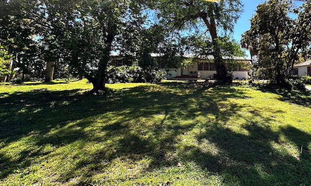 2076 E Main St, Pahokee, FL 33476 - view of grassy yard