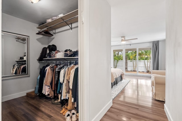 spacious closet with a ceiling fan and wood finished floors
