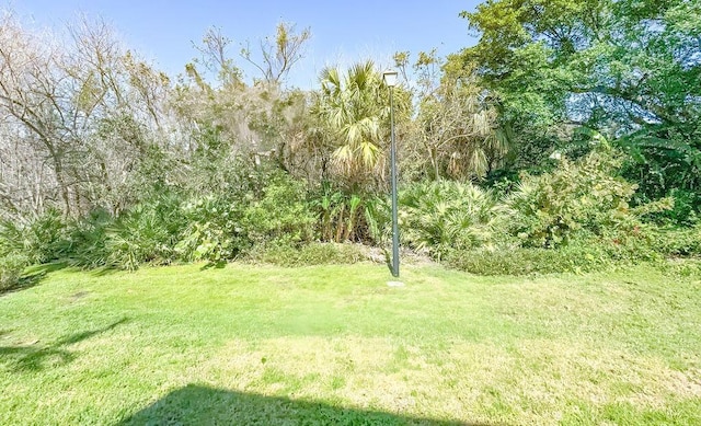 9407 S Ocean Dr Unit 1D, Jensen Beach, FL 34957 - view of green lawn
