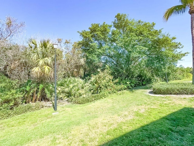 9407 S Ocean Dr Unit 1D, Jensen Beach, FL 34957 - view of green lawn