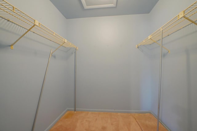 4475 Pine Park Cir, Lake Worth, FL 33467 - walk in closet with light carpet
