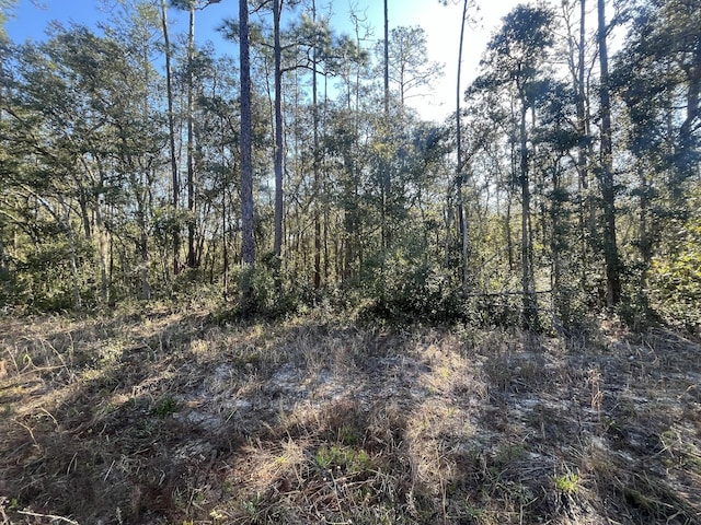 Tbd Banks, Interlachen, FL 32148