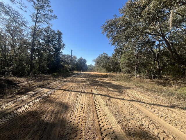 Tbd Banks, Interlachen, FL 32148