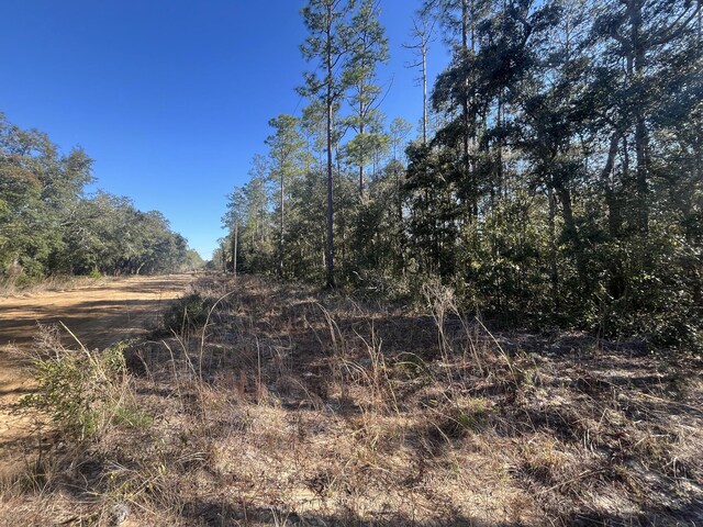 Tbd Banks, Interlachen, FL 32148