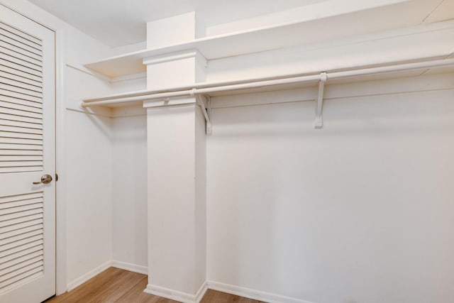 308 Golfview Rd Unit Ph02, North Palm Beach, FL 33408 - walk in closet featuring light wood-style floors