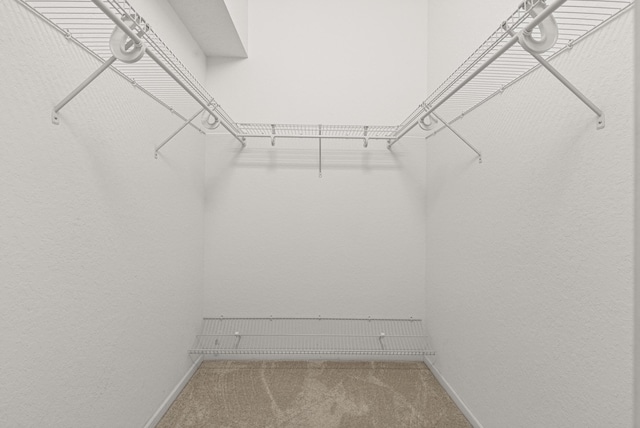 154 Berenger Walk, Royal Palm Beach, FL 33414 - spacious closet with carpet floors
