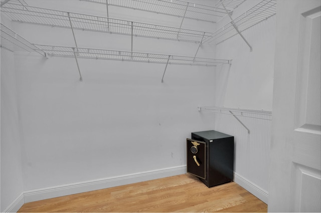 13594 Morocca Lake Ln, Delray Beach, FL 33446 - walk in closet with light wood-style floors