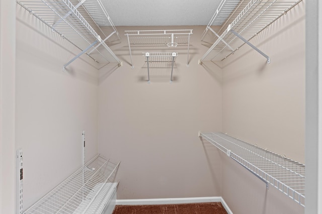 9940 NW 6th Pl, Plantation, FL 33324 - spacious closet featuring carpet floors