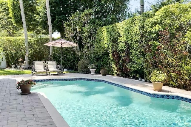 6106 Vista Linda Ln, Boca Raton, FL 33433 - pool featuring a patio