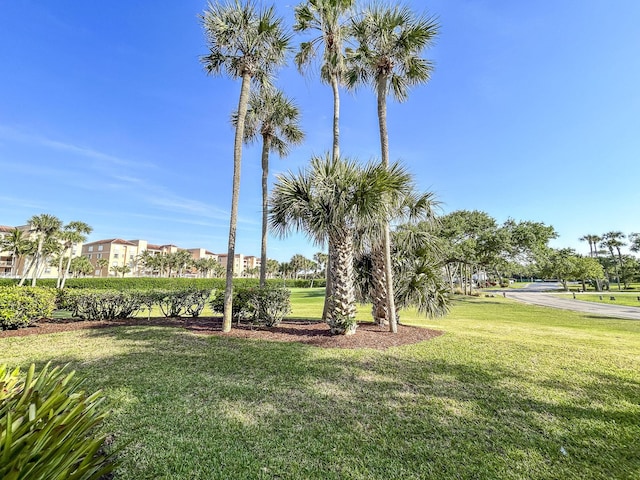 2400 S Ocean Dr Unit 912, Fort Pierce, FL 34949 - view of green lawn