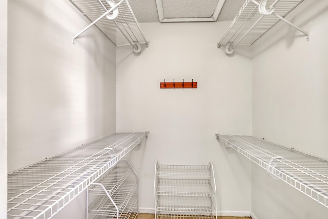 436 Pine Glen Ln Unit C-2, Greenacres, FL 33463 - view of walk in closet