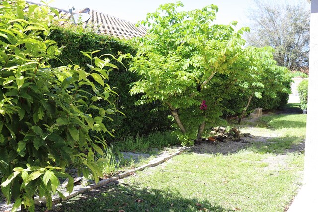 view of yard
