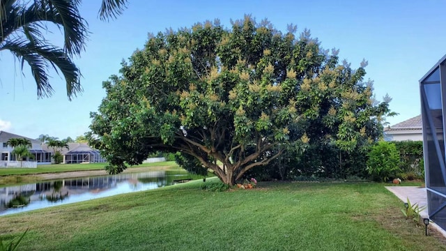 view of green lawn with a water view