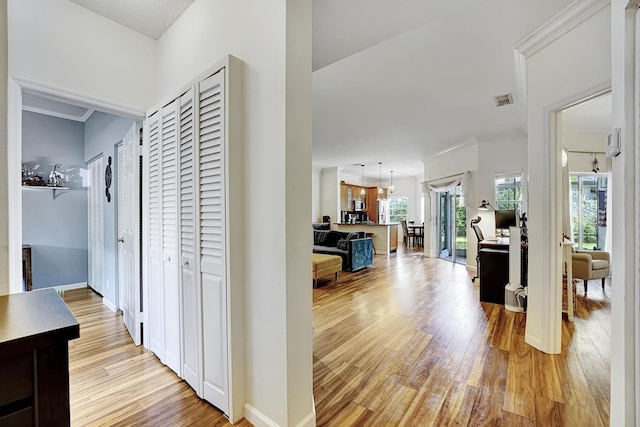 hall with light wood finished floors, visible vents, baseboards, and ornamental molding